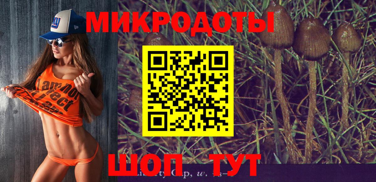Псилоцибиновые грибы Psilocybe Ульяновск