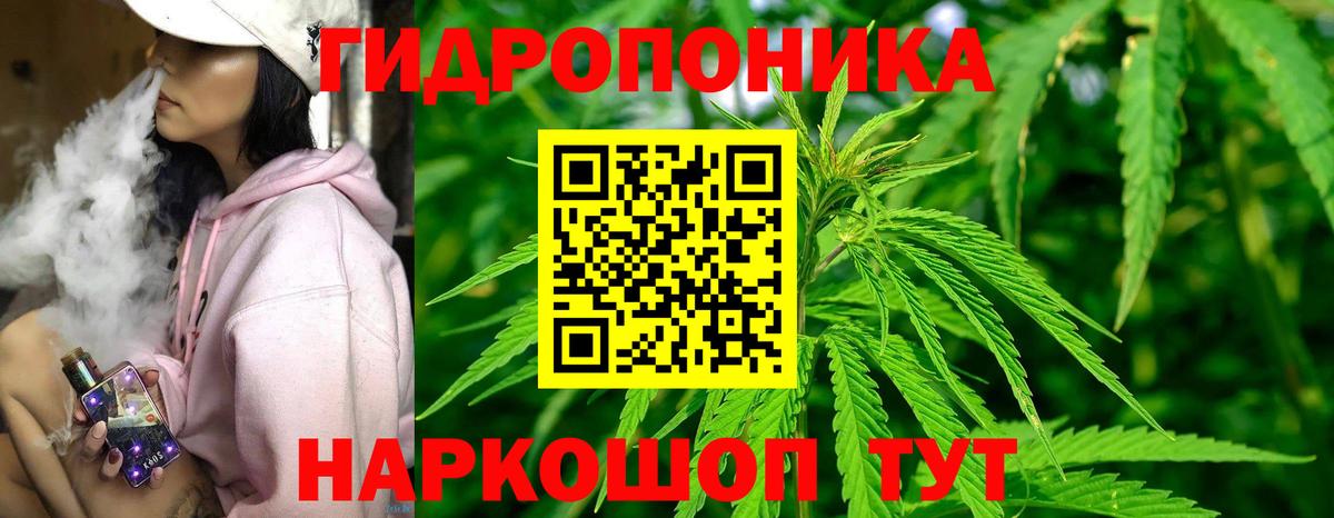 Бошки Шишки SATIVA & INDICA  Конопля план  Ульяновск  МАРИХУАНА VHQ  Вход с VPN  Конопля конопля 
